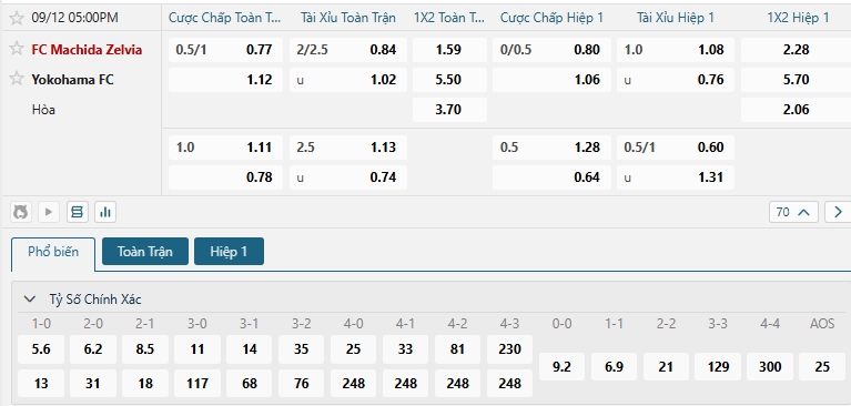 Tip bóng đá FC Machida Zelvia vs Yokohama FC